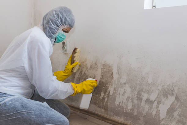Best Mold Removal for HVAC Installations  in Bonita Springs, FL