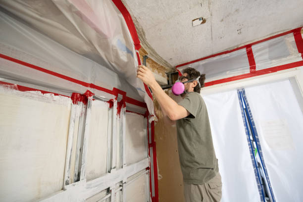 Best Biohazard Mold Removal  in Bonita Springs, FL