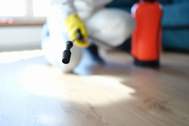 Best Comprehensive Air Testing for Mold Contaminants  in Bonita Springs, FL