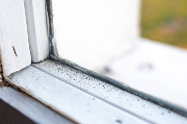 Best Biohazard Mold Removal  in Bonita Springs, FL