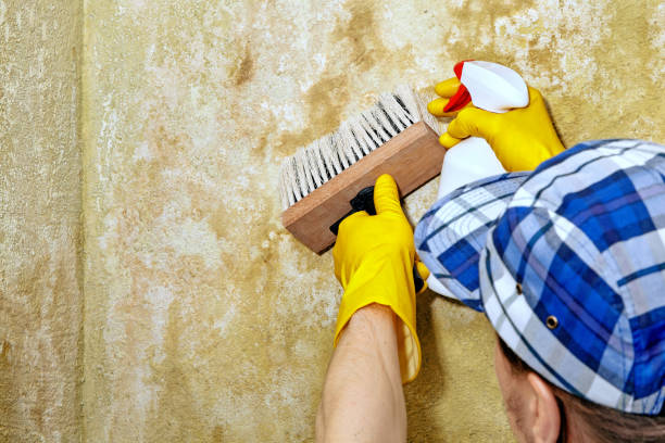 Best Residential Mold Inspection & Testing  in Bonita Springs, FL