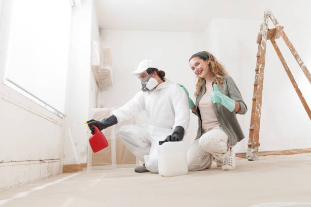 Reliable Bonita Springs, FL Mold Removal Solutions
