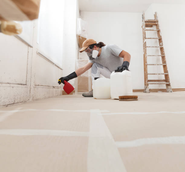Best Mold Remediation for Vacation Homes  in Bonita Springs, FL