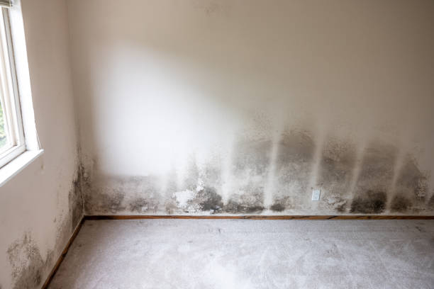 Best Post-Remediation Verification Testing  in Bonita Springs, FL